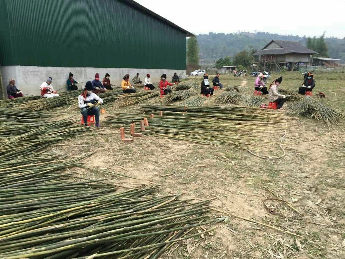 タカショー め竹210cm 5ホンタバ 5本束 210cm 個人宅配送不可 値頃 5本束